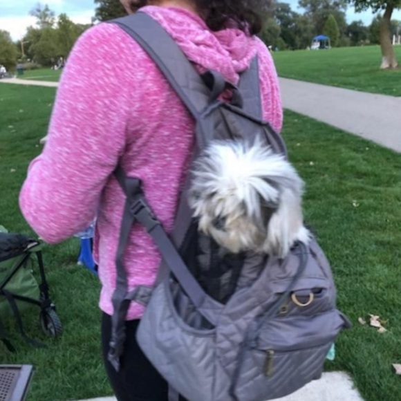 Mini dog Backpack - Picture 6 of 6